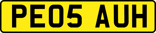 PE05AUH