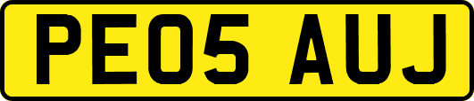 PE05AUJ
