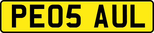 PE05AUL