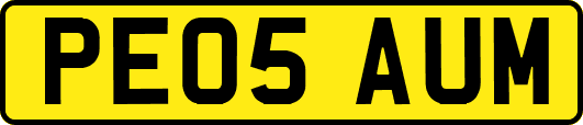 PE05AUM
