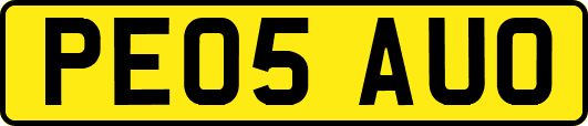 PE05AUO