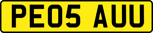 PE05AUU