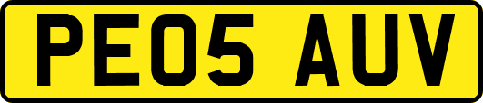 PE05AUV