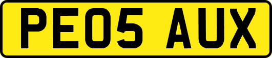 PE05AUX