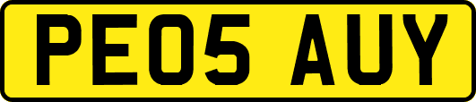 PE05AUY