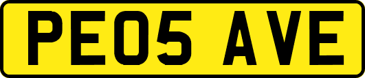 PE05AVE