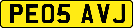 PE05AVJ