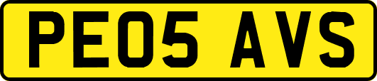 PE05AVS