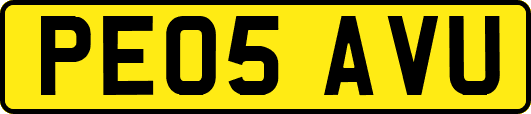 PE05AVU