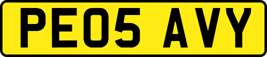 PE05AVY