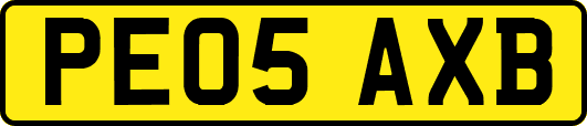 PE05AXB
