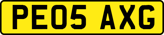 PE05AXG