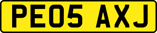 PE05AXJ
