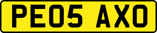 PE05AXO
