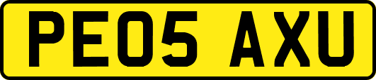 PE05AXU