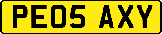 PE05AXY