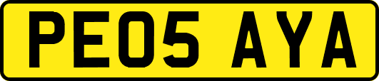 PE05AYA