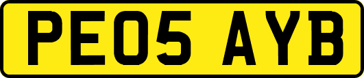 PE05AYB