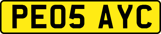 PE05AYC