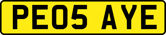 PE05AYE
