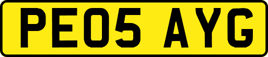 PE05AYG