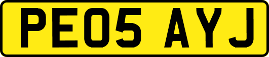 PE05AYJ