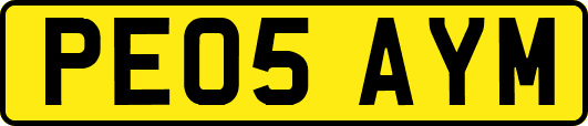 PE05AYM