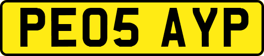 PE05AYP
