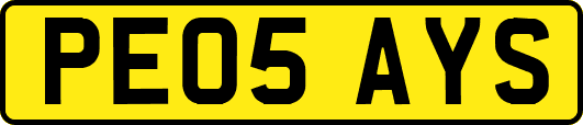 PE05AYS