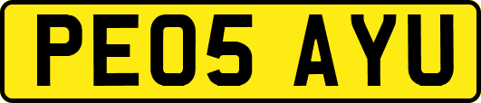 PE05AYU