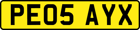 PE05AYX