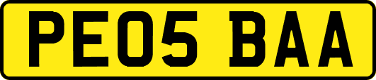 PE05BAA