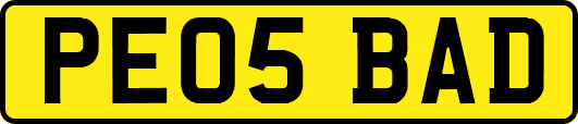 PE05BAD