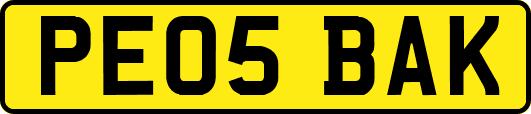 PE05BAK