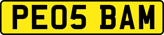 PE05BAM