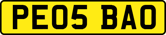 PE05BAO