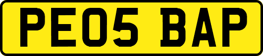 PE05BAP
