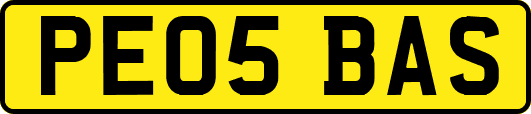 PE05BAS