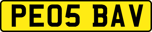 PE05BAV