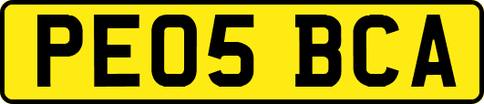 PE05BCA