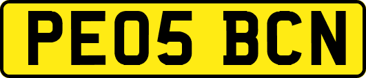 PE05BCN