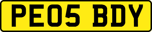PE05BDY