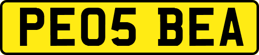 PE05BEA