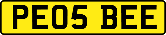 PE05BEE
