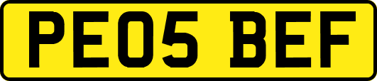 PE05BEF