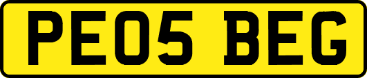 PE05BEG
