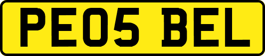 PE05BEL