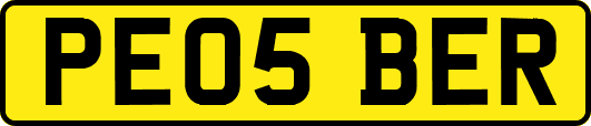 PE05BER