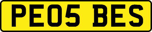 PE05BES