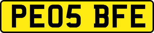 PE05BFE